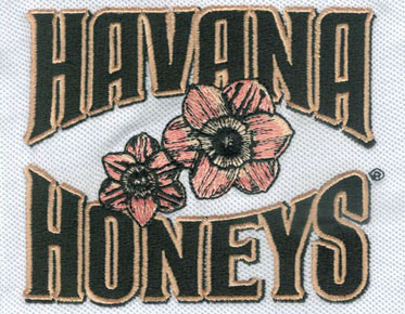 Embroidery Digitizing Flower Design